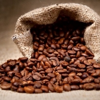 green-coffee-bean-weight-loss-breakthrough11